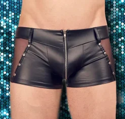 Svenjoyment Shorts