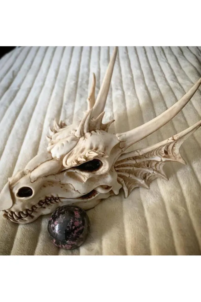Nemesis Now The Last Dragon Skull 32cm