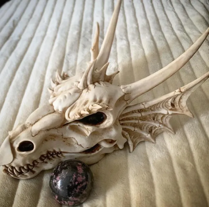 Nemesis Now The Last Dragon Skull 32cm