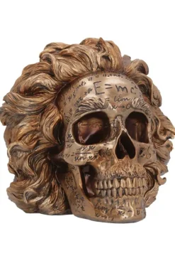 Nemesis Now The Theory of Relativity Einstein Skull