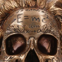 Nemesis Now The Theory of Relativity Einstein Skull
