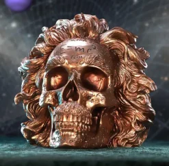 Nemesis Now The Theory of Relativity Einstein Skull