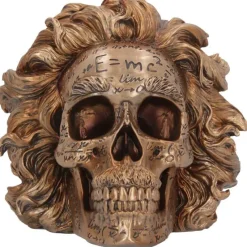 Nemesis Now The Theory of Relativity Einstein Skull