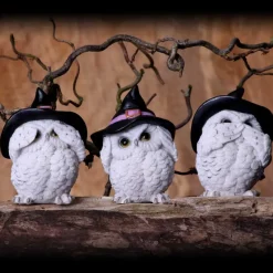 Nemesis Now Three Wise Feathered Familiars Owls