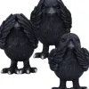 Nemesis Now Three Wise Ravens