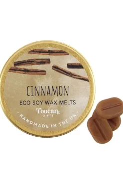 Something Different Toucan Gifts Cinnamon Eco Soy Wax Melts