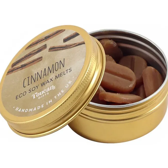 Something Different Toucan Gifts Cinnamon Eco Soy Wax Melts
