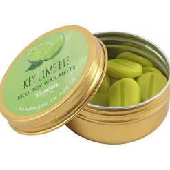 Something Different Toucan Gifts Key Lime Pie Eco Soy Wax Melts