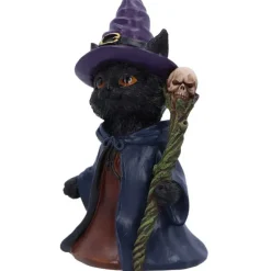 Nemesis Now Whiskered Wizard Black Cat