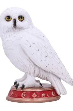 Nemesis Now Wizard's Familiar Owl Figurine